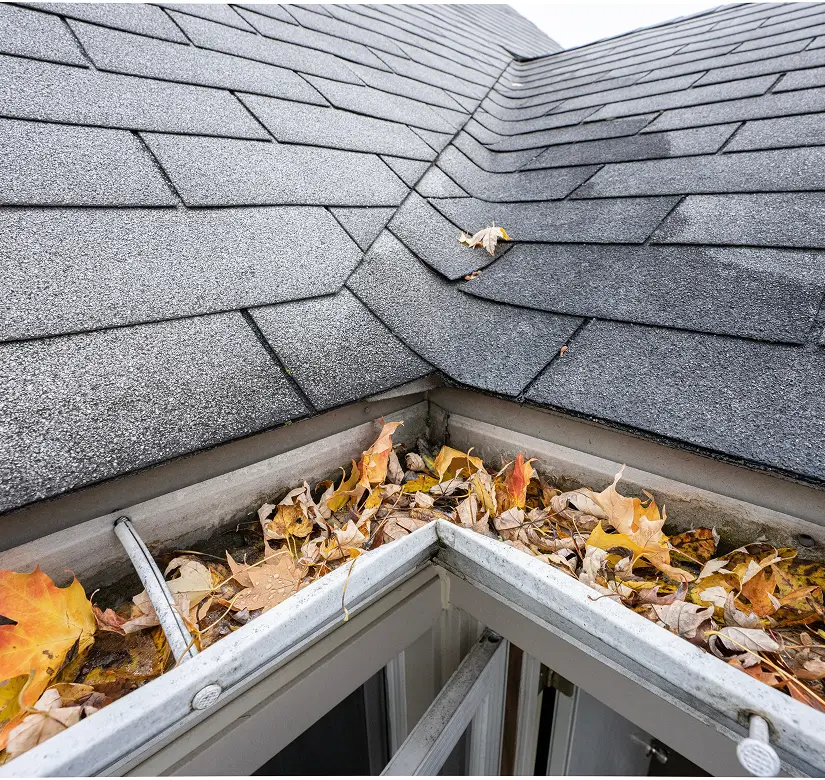chevy-chase--gutter-cleaning--section1
